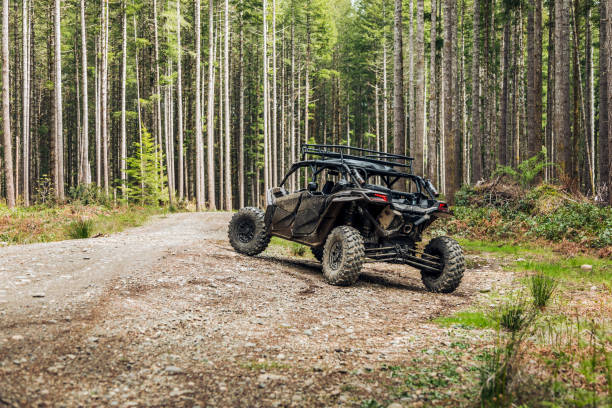 Exterior Detailing: Motorcycles, ATV, Other